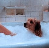 Calgon