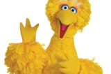 big_bird_half.0.0-3169771112