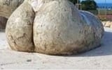 IMG_20250812_064613
