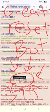 Screenshot_20250811_171855_Chrome