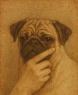 thinky-pugy-leonardo-davinci-1510