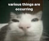 1742141434228765