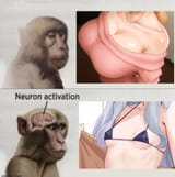 1728377198227557