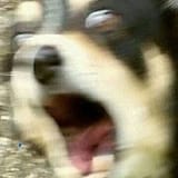 AAAAA
