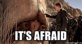 afraid