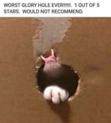 1706467739328484