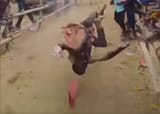 yoink 1024