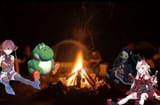 a nice campfire