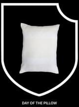 day_of_the_pillow