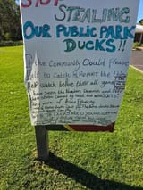 plz dont steal duck