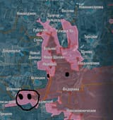 pig