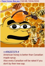 Buy American Rake Canadians