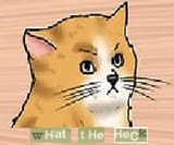 angry cat