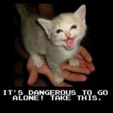 Thread 512871513 OP Image