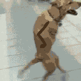 1431935566980