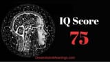 IQ-75-300x171
