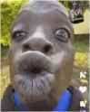 GyLaAC5XAAESOsm_thumb.jpg