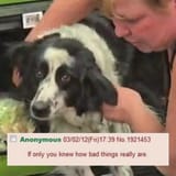 91726