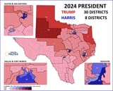 texasnewmap