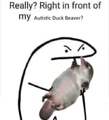 really-right-in-front-of-my platypus