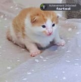 465647167_2039334773169626_6742252314423463802_n