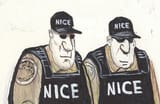 ICE NICE