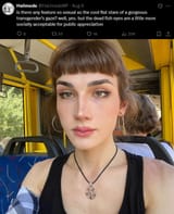 transgender gaze