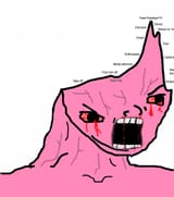 brainlet_pink_wojak_market_brain