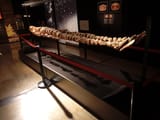 IMG_20241226_153219