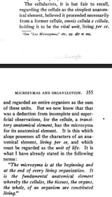 bechamp_fundmental_anatomical_element
