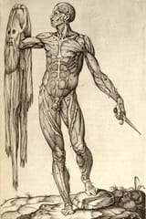 This is how naked i feel when i only have socks on
