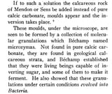 bechamp_microzymas_ferments_in_calcareus_rock