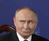 putin erm