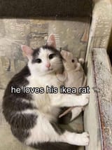Thread 513143017 OP Image