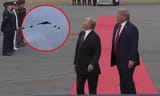 Thread 513144887 OP Image