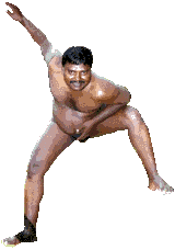 microsoft treejeet stomp