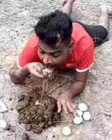jeet eat