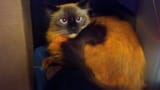 2012-10-05_13-19-28_23