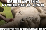 1746736460264882
