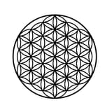 20250816_031201