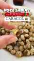Portogese Caracol_thumb.jpg