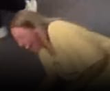 an horse
