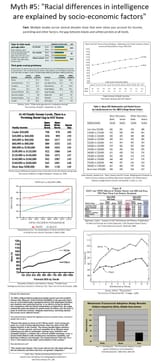 Standardized Test scores by race and income