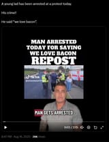 bacon