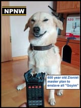 NPNW-doggo3c