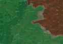 borova-(2)_thumb.jpg