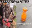 blacks-vs-bees_thumb.jpg