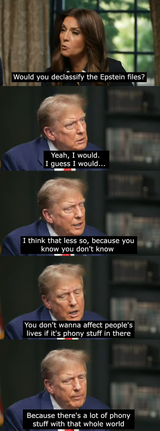 trumpstein files