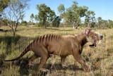 Thylacosmilus_Amerika
