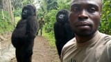 berggorillas-im-virunga-nationalpark